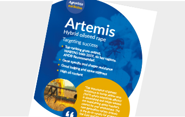Artemis - Hybrid oilseed rape